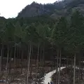 鳥の小塚公園の写真_60716