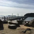 竹島海岸の写真_60771