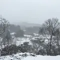 ビストロインえばーぐりーんの写真_60939