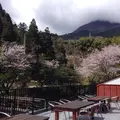 夢幻の里・春夏秋冬の写真_60961