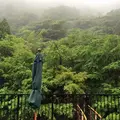 夢幻の里・春夏秋冬の写真_60962