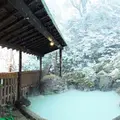 夢幻の里・春夏秋冬の写真_60964