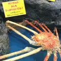 竹島水族館の写真_60975