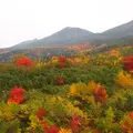 十勝岳望岳台の写真_6100