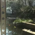 世田谷文学館の写真_61122