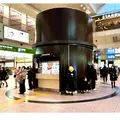 染谷花しょうぶ園の写真_612197