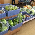 道の駅 あかばねロコステーションの写真_61464