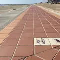 赤羽根ロコパークの写真_61466