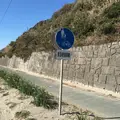 田原市サイクリングロードの写真_61479