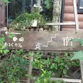 おぐに天然食ほこすぎの写真_61902