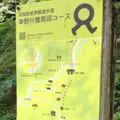 旧国鉄宮原線遊歩道の写真_61909