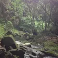 鍋ヶ滝の写真_61918