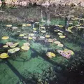 根道神社の写真_62151