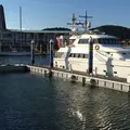 フェスティバルピアーの写真_62199