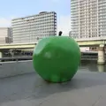 こども本の森 中之島の写真_622004