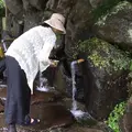 立岩水源公園の写真_62244