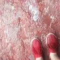 ブニョールの写真_62406