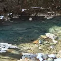 四万温泉の写真_62494