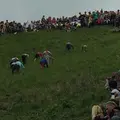 チーズ転がし祭りの写真_62555