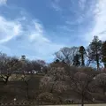 あけぼの山公園の写真_62989