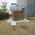 大阪府庁の写真_631016