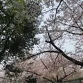 王子公園の写真_631030
