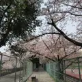 王子公園の写真_631031