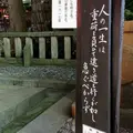 久能山東照宮の写真_63170
