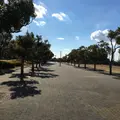 海浜公園の写真_63178