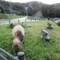 舞鶴ふるるファームの写真_636722