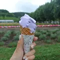 ファーム富田の写真_6377