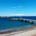 猿島の写真_639163
