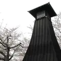水の都　大垣市の写真_6417