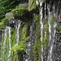 水の都　大垣市の写真_6418