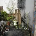 水の都大垣の湧き水の写真_6425