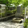 水の都大垣の湧き水の写真_6426