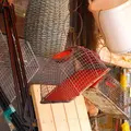 とにかく凄い店の写真_6434