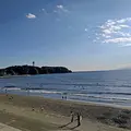 新江ノ島水族館の写真_646655