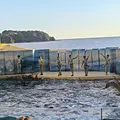 新江ノ島水族館の写真_646660