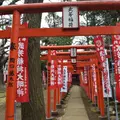 鬼子母神堂の写真_65108