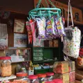 鬼子母神堂の写真_65110