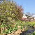畑毛せせらぎ公園の写真_65331