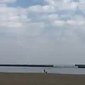 渚親水公園・ムーンテラスの写真_65332