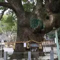 大麻比古神社の写真_65463
