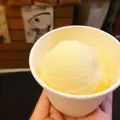 まるごと高知の写真_6551
