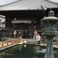 霊山寺の写真_65735