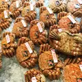 加藤水産の写真_65915