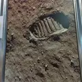 幕張メッセの写真_6610