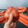 境港水産物直売センターの写真_6674