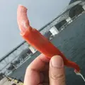 境港水産物直売センターの写真_6675